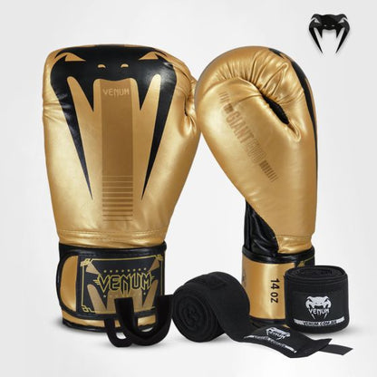 Combo Venum Evo Gold