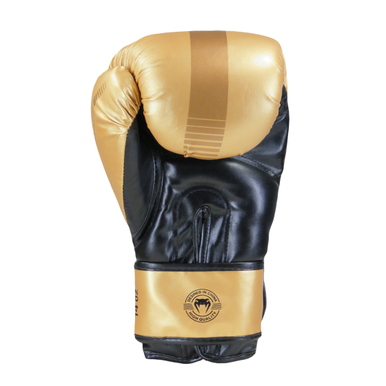 Combo Venum Evo Gold