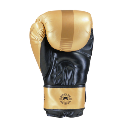 Combo Venum Evo Gold