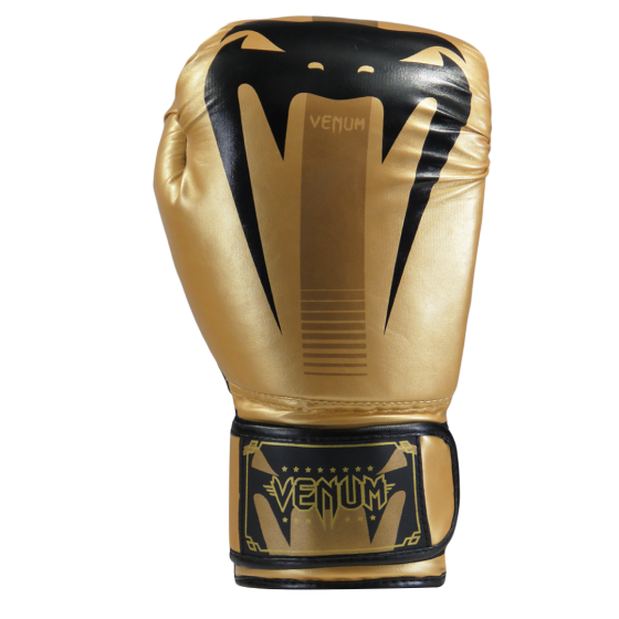 Combo Venum Evo Gold