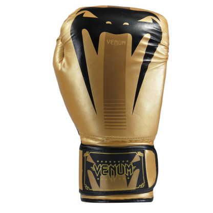 Combo Venum Evo Gold